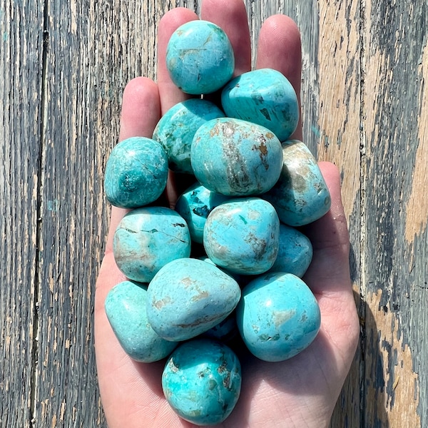 Peruvian Turquoise Tumbled Stones - Excellent Quality (One Piece)