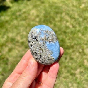 May include: A blue and brown oval-shaped stone with a unique pattern. The stone is held in a hand against a backdrop of green grass. The stone's surface has a marbled appearance with shades of blue, brown, and gray.
