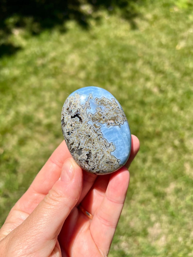 May include: A blue and brown oval-shaped stone with a unique pattern. The stone is held in a hand against a backdrop of green grass. The stone's surface has a marbled appearance with shades of blue, brown, and gray.