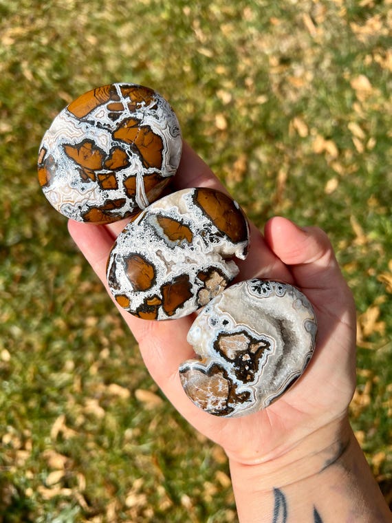 Brecciated Jasper Palm Stones | Druzy Brecciated Agate Pocket