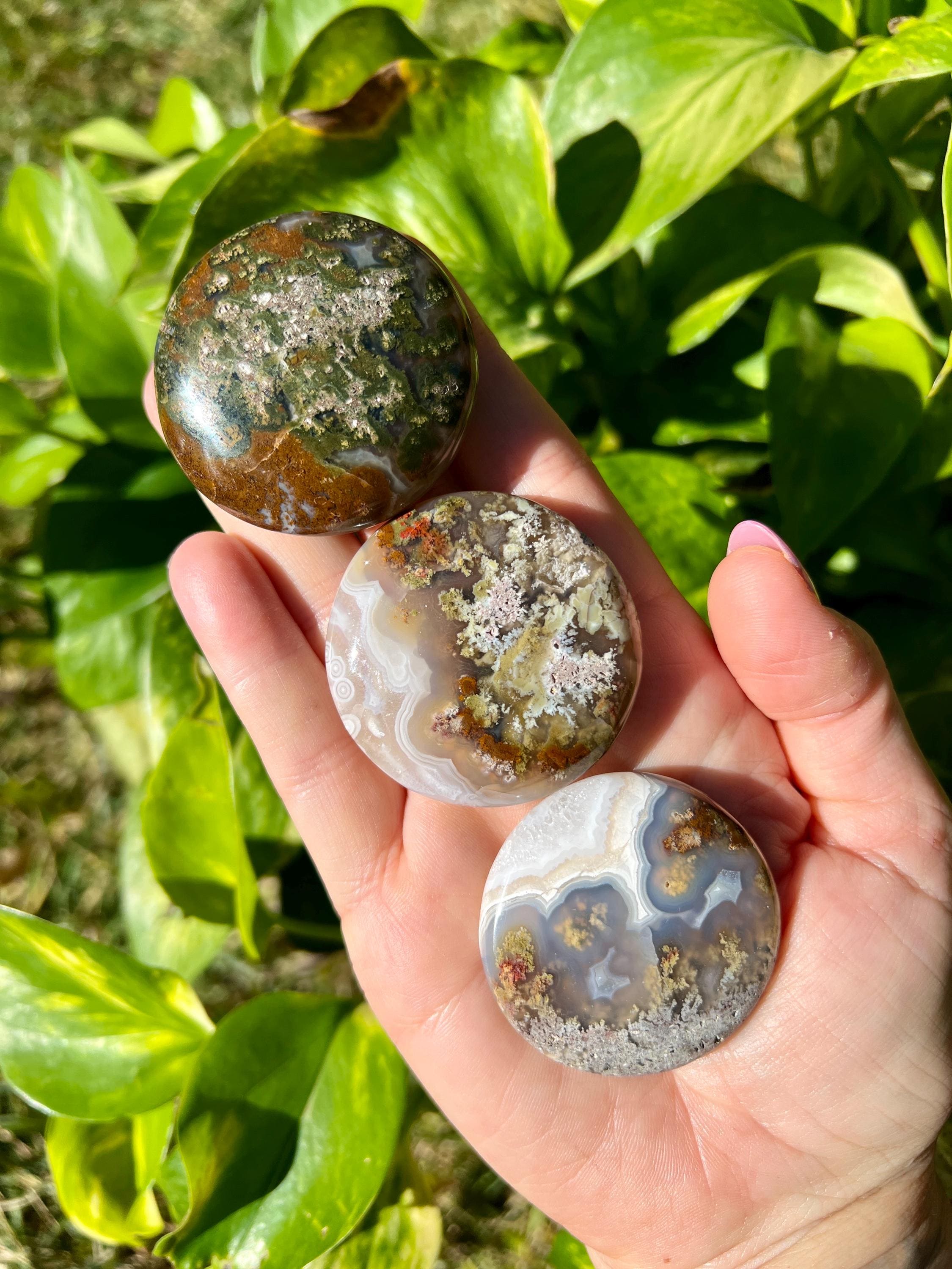 Scenic Moss Agate Cookie Palm Stones | Ternate Moss Agate | Garden