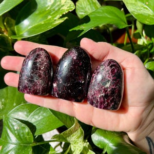 以下が含まれることがあります： 深紅と栗色の濃淡が美しい、磨かれた楕円形の宝石が3つ。石はまだらで結晶のような外観をしています。背景には緑豊かな葉があり、自然でアースカラーの美しさを演出しています。