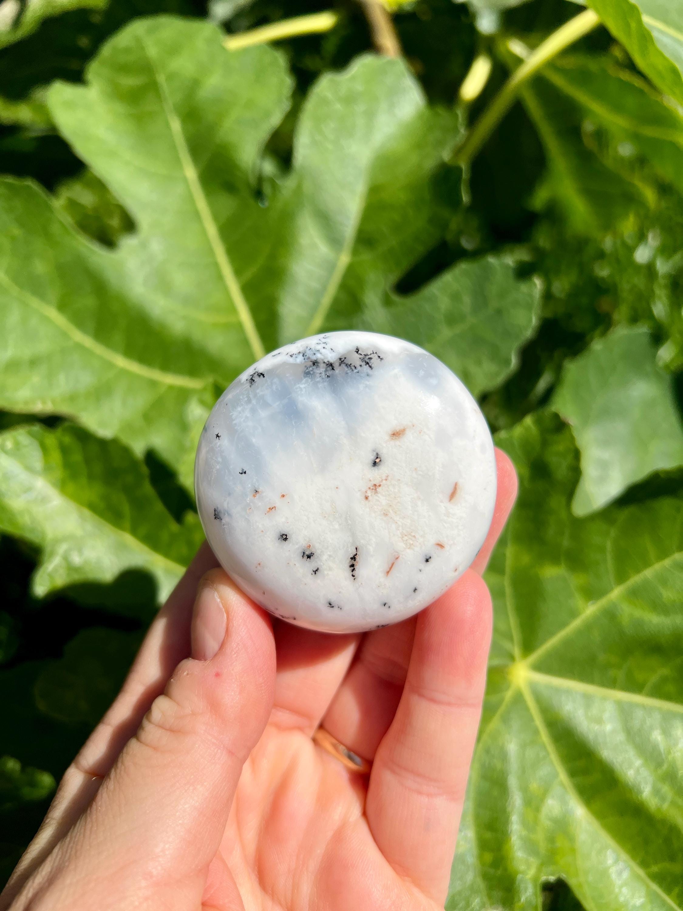 デンドライトオパールクッキーパーム | デンドライトオパールラウンド