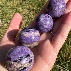 Charoite Mini Spheres (You Choose)