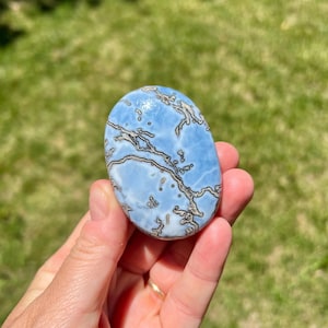 May include: Oval-shaped blue gemstone with a unique pattern of dark brown veins. The stone is held in a hand against a backdrop of green grass. The gemstone is approximately 3 inches long.