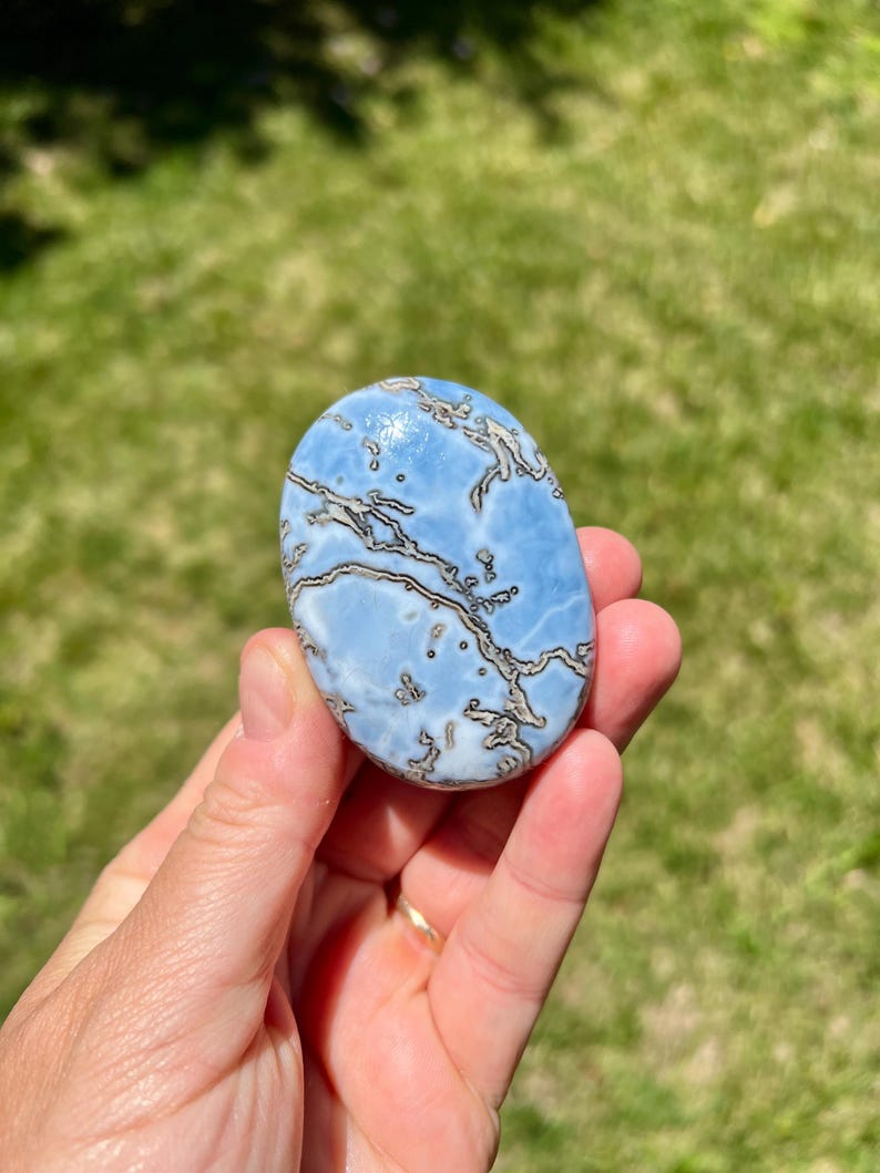May include: Oval-shaped blue gemstone with a unique pattern of dark brown veins. The stone is held in a hand against a backdrop of green grass. The gemstone is approximately 3 inches long.