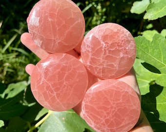 Puede incluir: Cuatro piedras redondas de color rosa con una superficie agrietada y texturizada se sostienen en una mano. Las piedras son de un color rosa claro y suave. El fondo está borroso, con hojas verdes y luz solar.