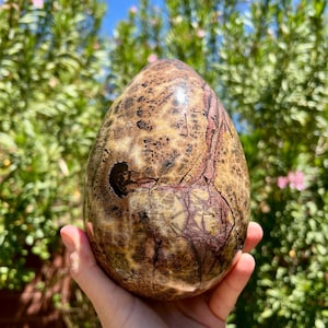 6.5 LB Picture Jasper Egg | HUGE Picture Jasper Egg Carving | Dendritic Jasper Statement Piece