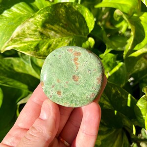 May include: A round, green stone with brown spots is held in a hand. The stone is smooth and polished. The background is filled with green leaves.