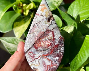 Druzy Mexican Crazy Agate Free Form | Mexican Lace Agate | Druzy