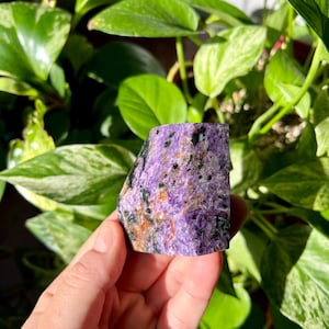 Russian Charoite Free Form