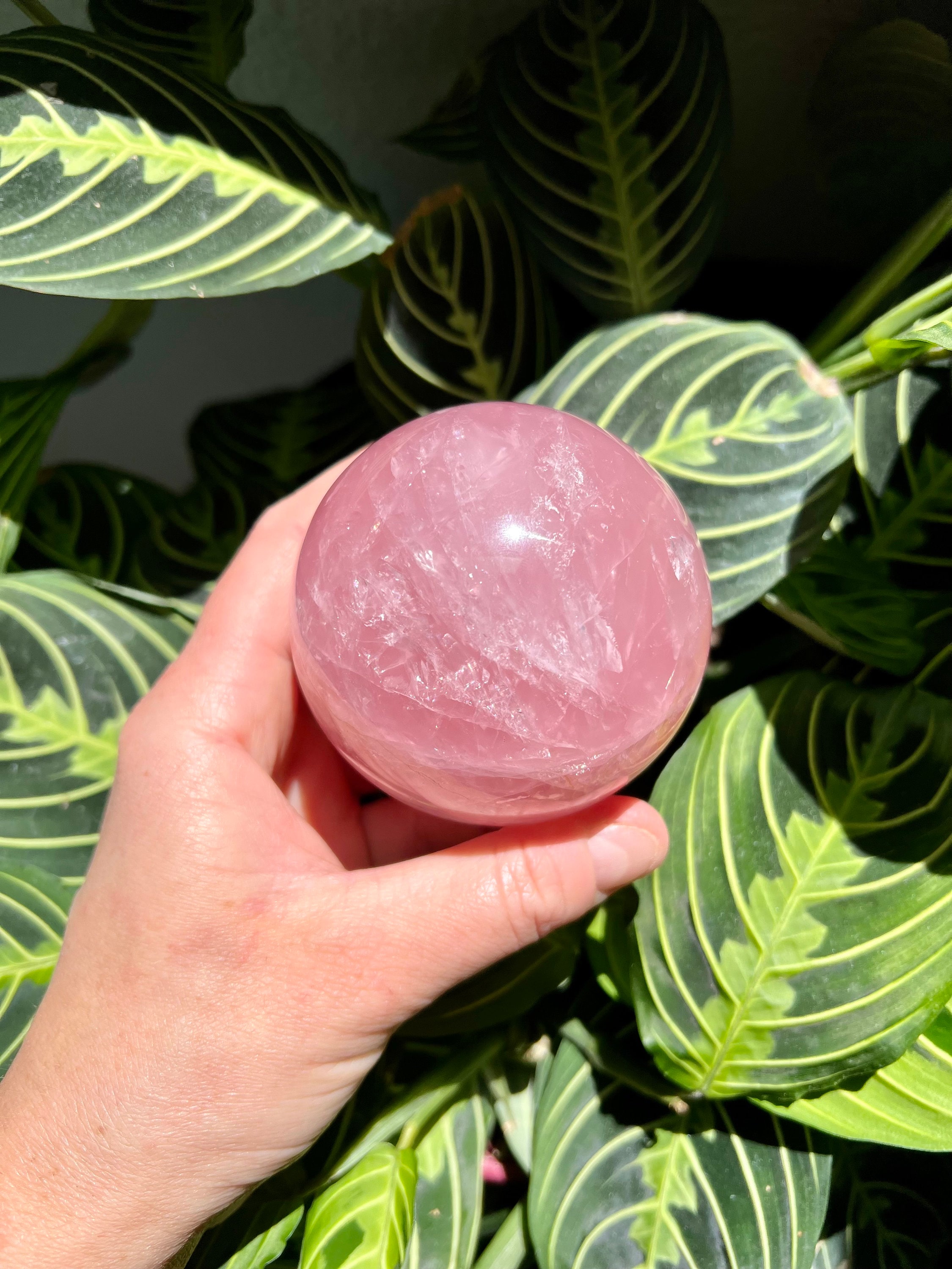 大きなジェミースターローズクォーツ球とゴールデンヒーラー