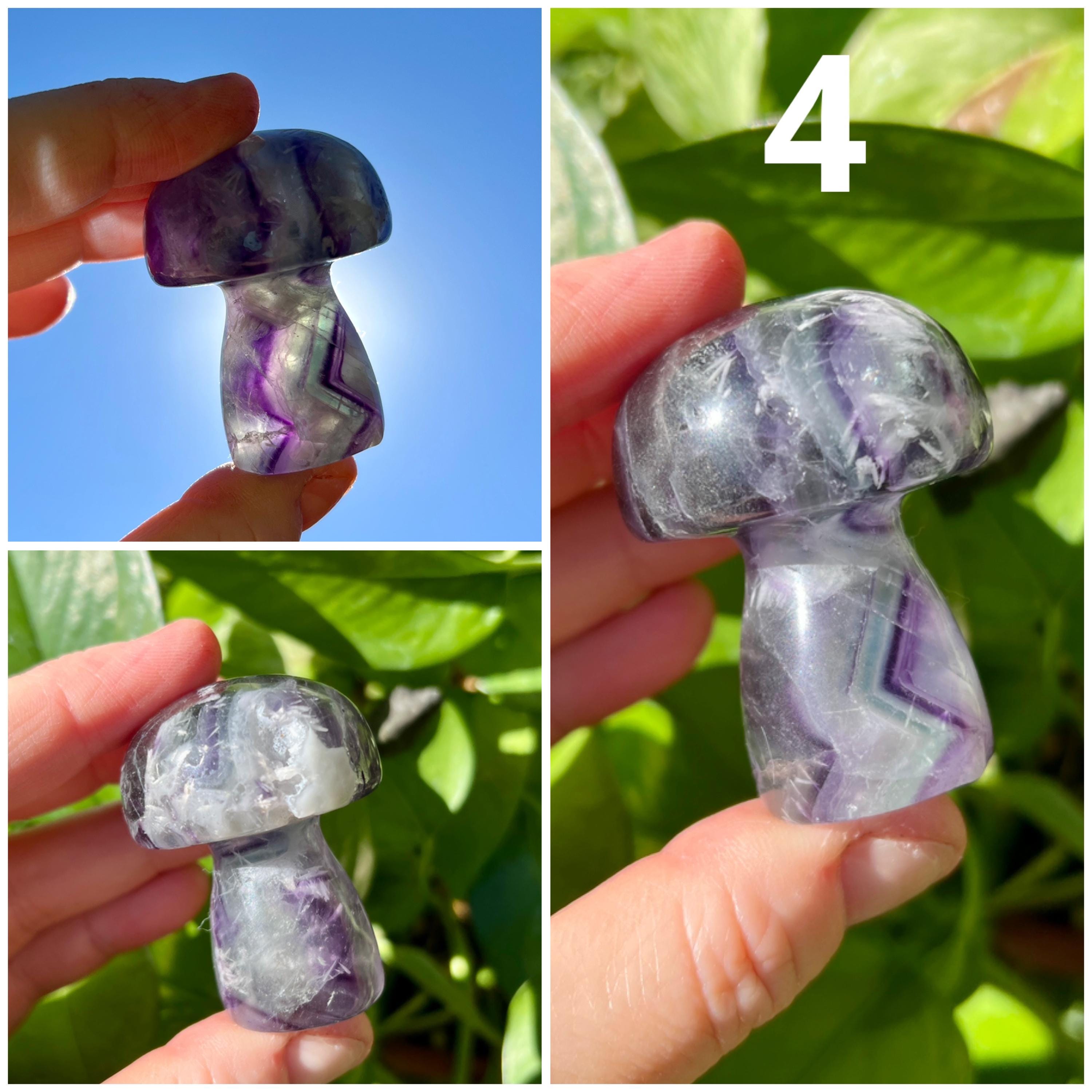 Rainbow Fluorite Mushrooms | Pastel Fluorite Mushroom Carving - Etsy
