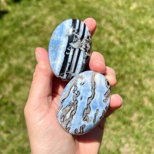 May include: Two oval-shaped blue opal stones with unique patterns of black and brown veining. The stones are held in a hand against a backdrop of green grass, showcasing their natural beauty and intricate designs.