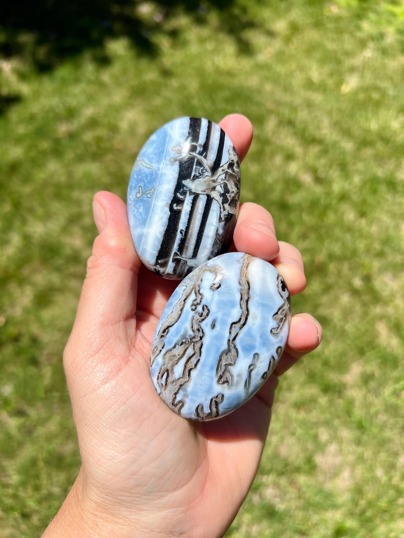 May include: Two oval-shaped blue opal stones with unique patterns of black and brown veining. The stones are held in a hand against a backdrop of green grass, showcasing their natural beauty and intricate designs.