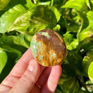 May include: A polished, oval-shaped stone with a mix of brown, green, and gold hues. The stone is held in a hand, with lush green foliage in the background. The stone's surface has a natural, organic appearance.