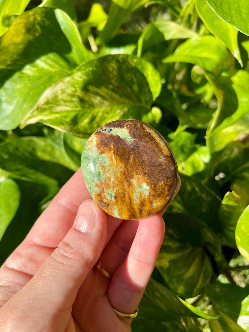 May include: A polished, oval-shaped stone with a mix of brown, green, and gold hues. The stone is held in a hand, with lush green foliage in the background. The stone's surface has a natural, organic appearance.