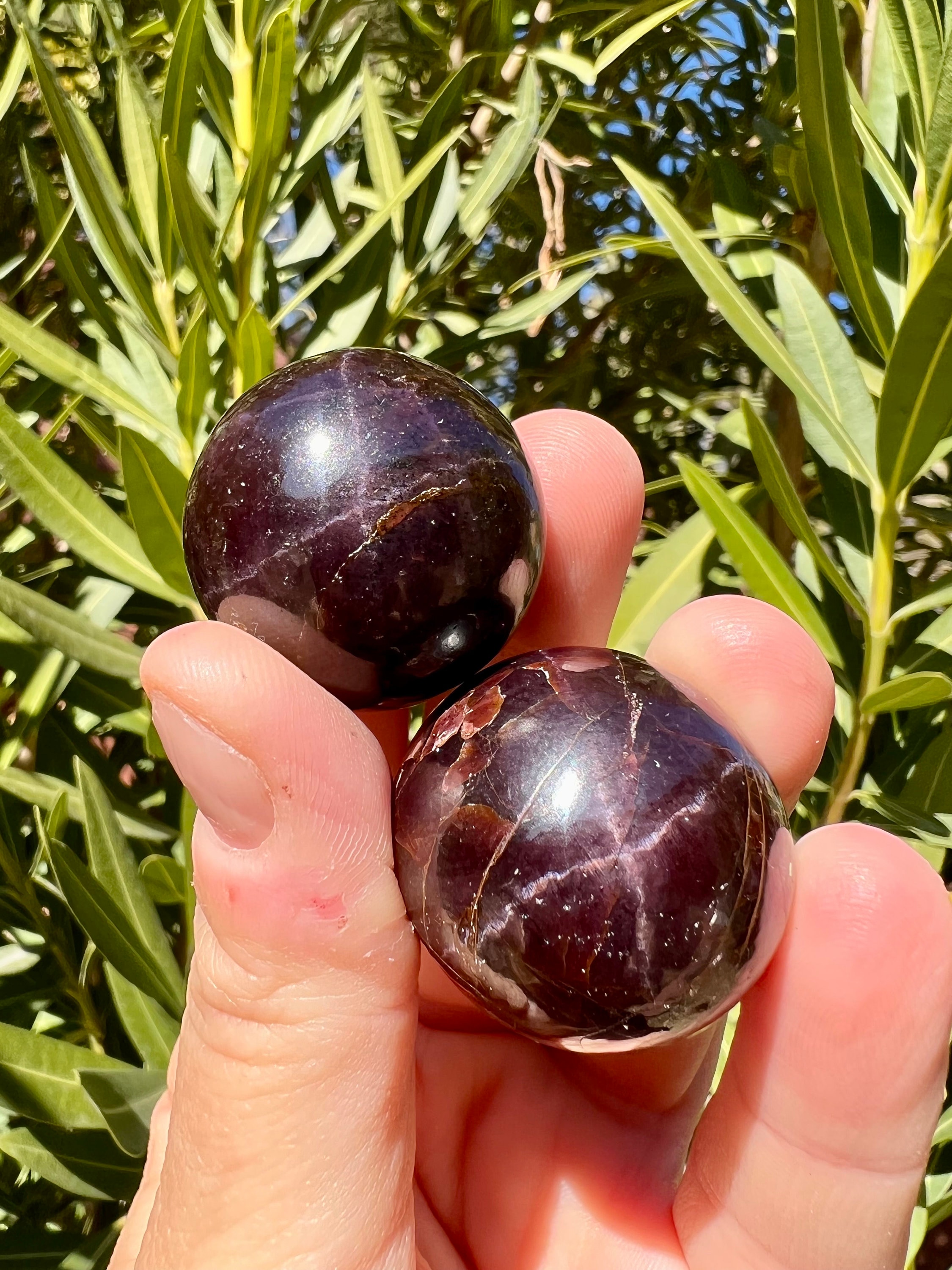 Gorgeous Star Garnet Mini Spheres - Polished - Etsy