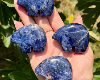 Blue Sodalite Mini Bears | Crystal Bear Carvings