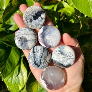 May include: A collection of six round, polished stones in shades of white, gray, and black. Each stone features unique patterns and textures, with some resembling landscapes or abstract designs. The stones are held in a hand against a backdrop of green foliage.