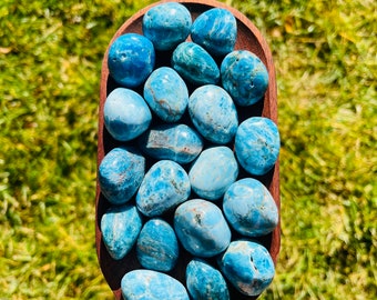 Puede incluir: Una colección de piedras de apatita azul pulidas en un cuenco de madera. Las piedras son lisas y tienen un color azul claro con vetas blancas.