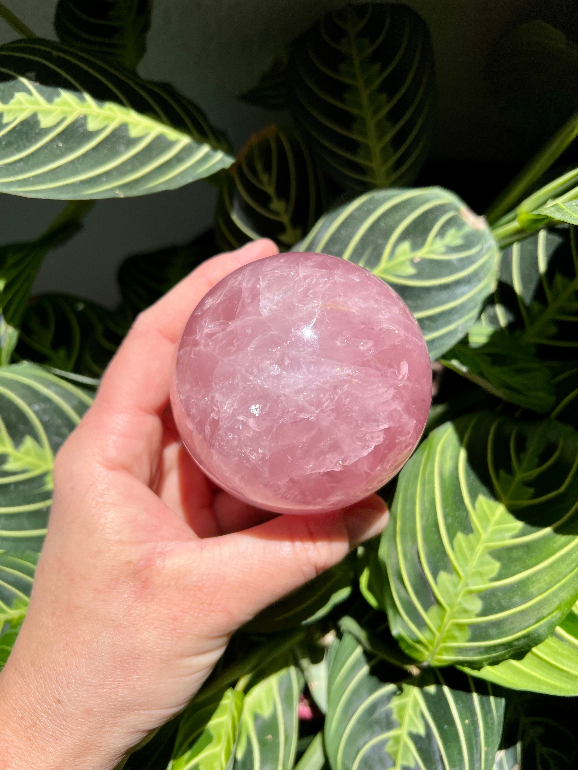 大きなジェミースターローズクォーツ球とゴールデンヒーラー