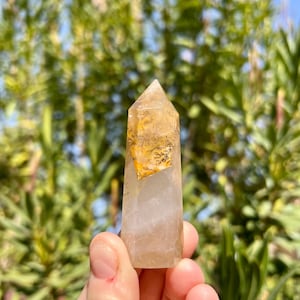 Dendritic Quartz Point | Quartz with Dendrite