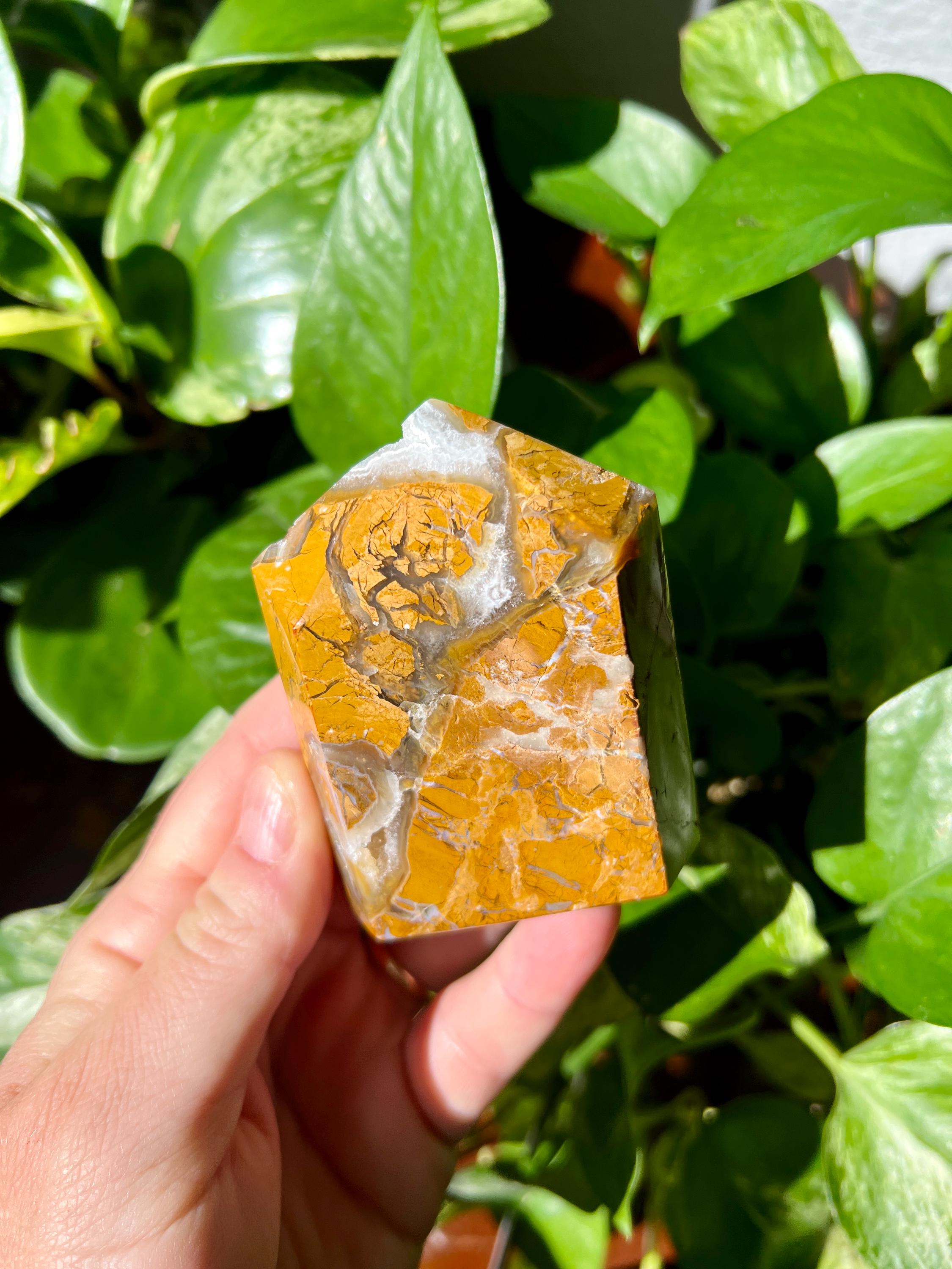 Brecciated Jasper Domino Point | Druzy Brecciated Agate - Etsy