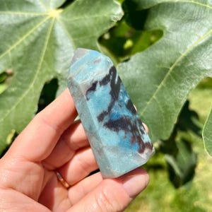 Blue Trolleite Point | Brazilian Trolleite