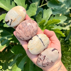 Picture Jasper Palm Stones with Dendrite | Picture Jasper Pocket Stones