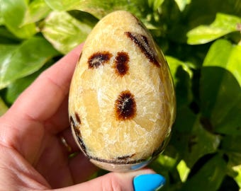 Septarian Egg | Crystal Egg Carving
