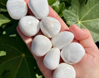 May include: A collection of eight white selenite tumbled stones. The stones are smooth and have a striated texture.