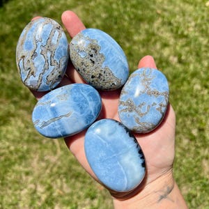 May include: Five polished oval stones in varying shades of blue and brown are held in a hand. The stones have unique patterns and textures, with some featuring intricate veining. The background is blurred green grass.