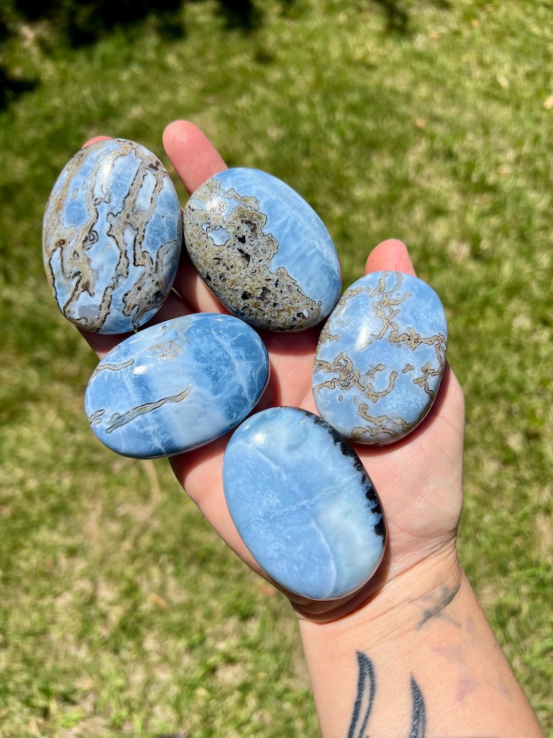 May include: Five polished oval stones in varying shades of blue and brown are held in a hand. The stones have unique patterns and textures, with some featuring intricate veining. The background is blurred green grass.