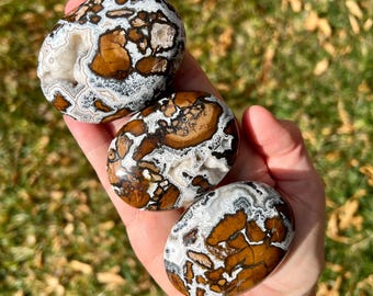 Brecciated Jasper Palm Stones | Druzy Brecciated Agate Pocket