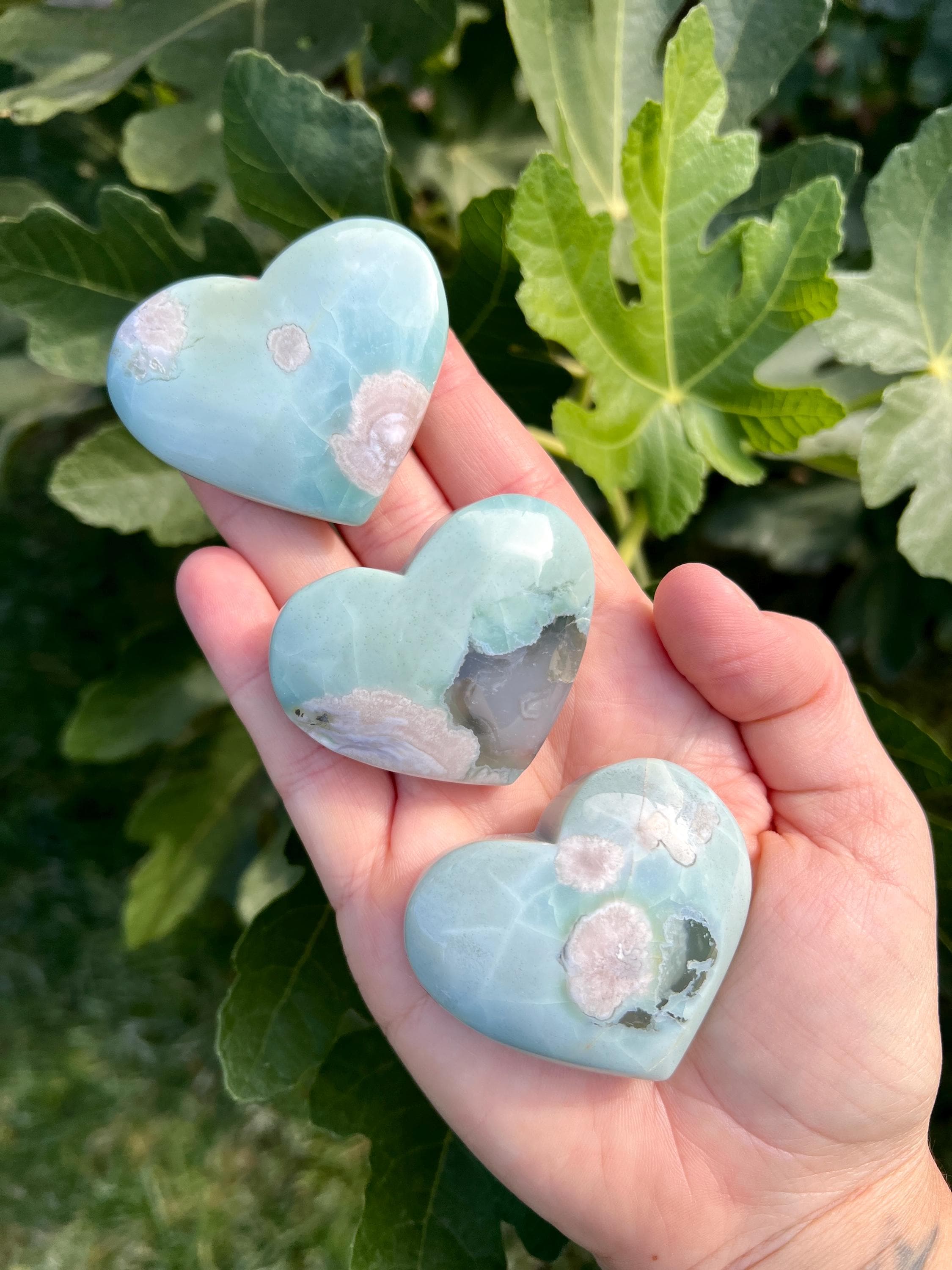 Green Sakura Agate - Etsy