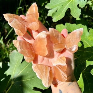 Può includere: Cinque figurine di farfalle in calcite arancione sono tenute in una mano, con foglie verdi sullo sfondo. Le farfalle hanno un aspetto traslucido con venature bianche. La luce naturale mette in risalto il colore e la consistenza della pietra.