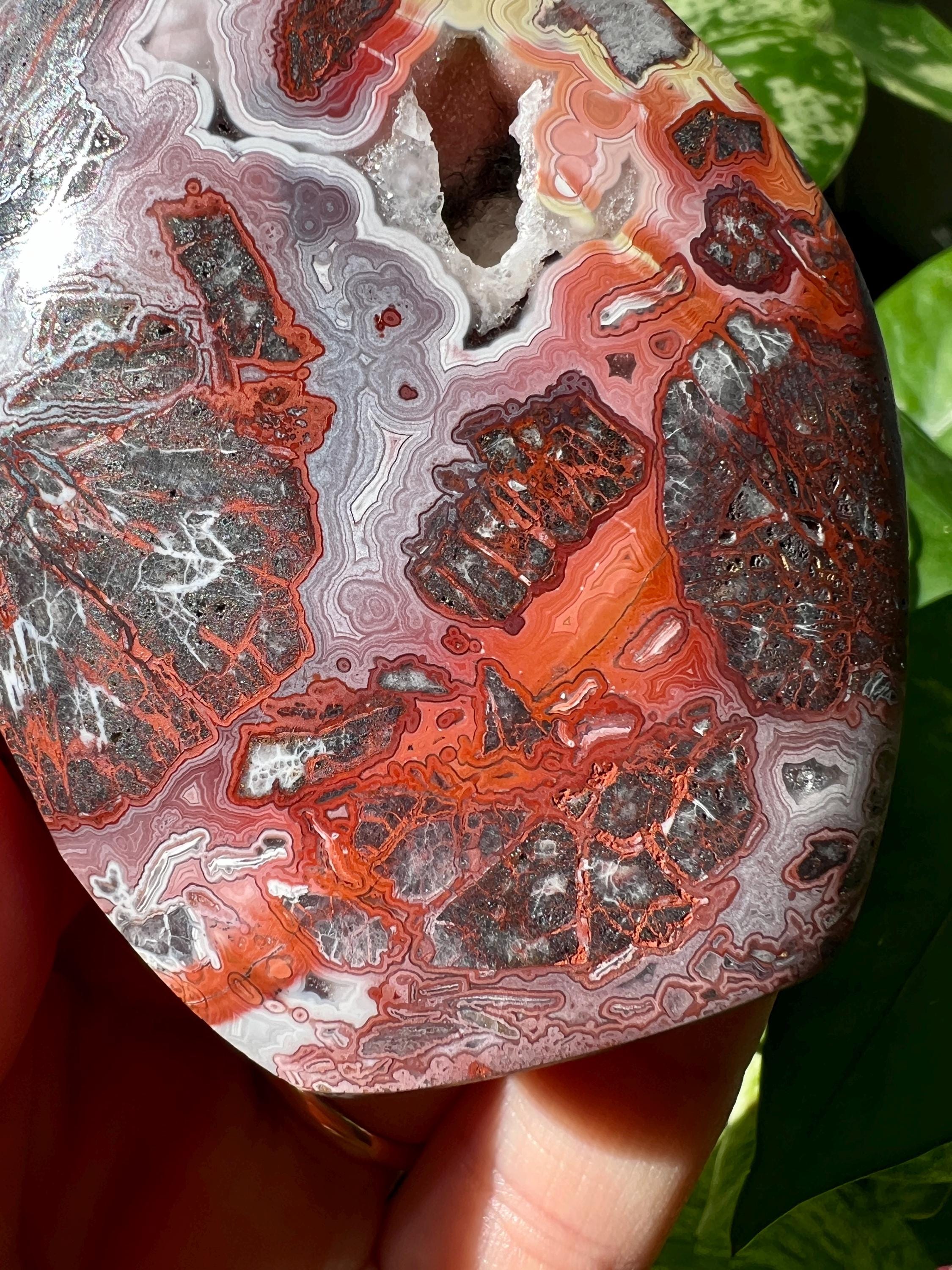 Druzy Mexican Crazy Agate Free Form | Mexican Lace Agate | Druzy