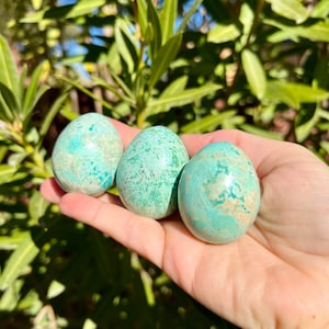 Peruvian Turquoise Eggs - Excellent Quality (Choose Size)