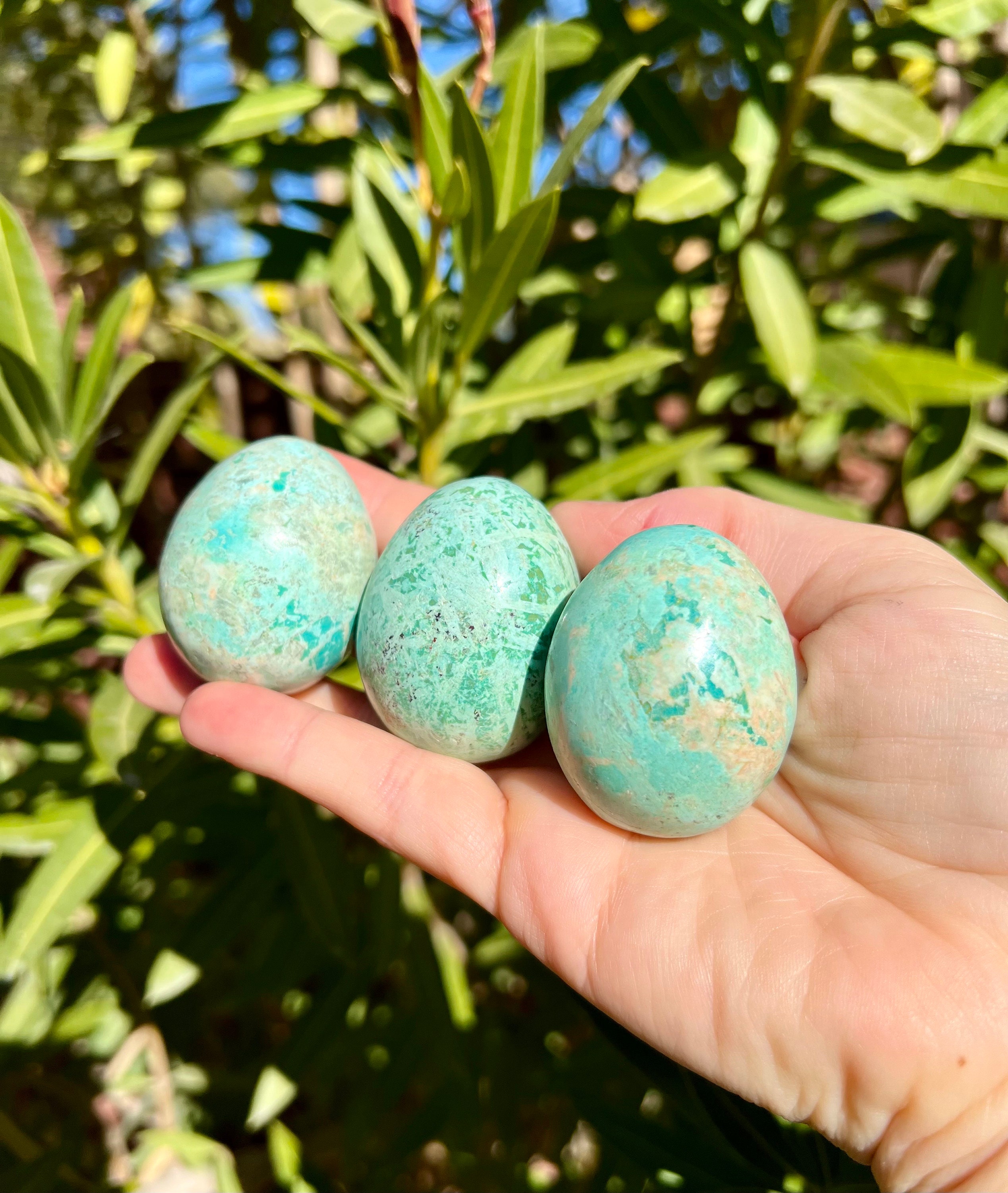 Peruvian Turquoise Eggs - Excellent Quality (choose Size) - Etsy