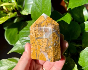 Brecciated Jasper Domino Point | Druzy Brecciated Agate - Etsy