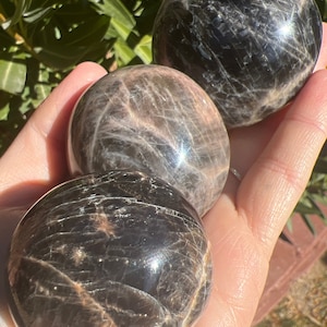 Black Moonstone Palmstones - Polished (One Palm)