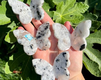 May include: Four white and black butterfly-shaped moonstone crystals. The crystals are polished and have a smooth, shiny surface.