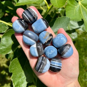 May include: A collection of tumbled stones in shades of blue, black, and white. The stones are smooth and rounded, with varying patterns of stripes and swirls. The stones are held in a hand, with green leaves in the background.