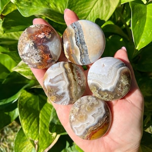 Peut inclure: Cinq pierres d'agate polies dans des tons de marron, blanc et beige sont tenues dans une main. Les pierres présentent des motifs et des textures uniques, certaines présentant des bandes de couleur et d'autres des formations complexes. Le fond est un feuillage vert flou.