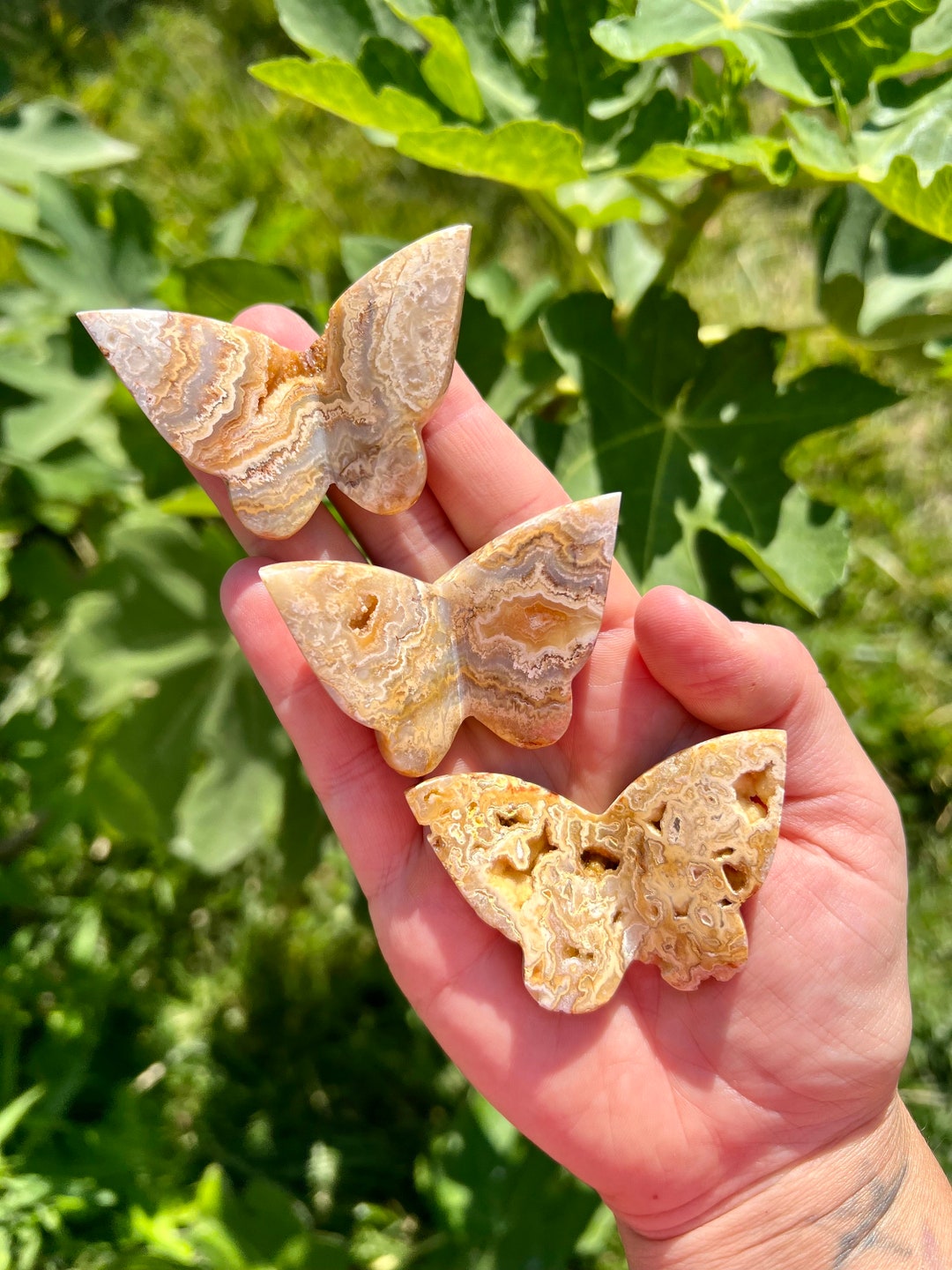 Yellow Crazy Lace Agate 3D Butterflies | Self Standing Druzy