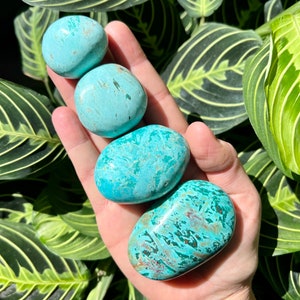 Peruvian Turquoise Palm Stones | Genuine Turquoise Pocket Stones (Choose Size)