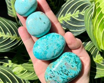 Peruvian Turquoise Palm Stones | Genuine Turquoise Pocket Stones (Choose Size)
