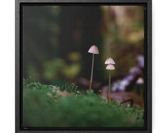 Setas diminutas del bosque, envuelto en galería, lienzo enmarcado cuadrado, fotografía de bosque, hongos