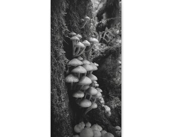 Racimos de hongos, Blanco y negro, Hongos, Fotografía forestal, Lienzo, Envuelto en galería